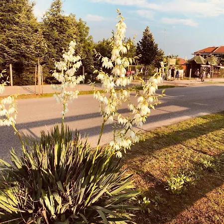 Club Thermal Village *