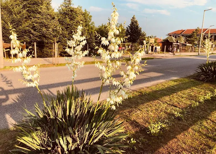 Club Thermal Village *
